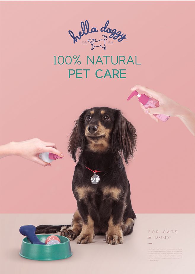 宠物店铺美容护理宠物猫粮狗粮产品宣传单海报详情页设计ps素材图