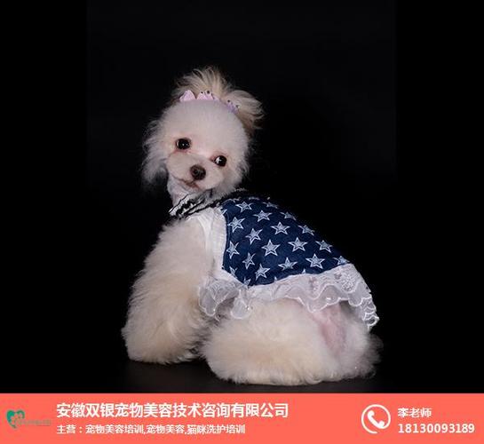 东商网 产品信息 其它 其它 > 亳州宠物美容培训-安徽双银宠物美容