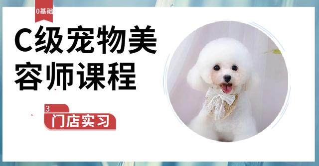 重庆南坪,渝中,大渡口的宠物美容师培训学校设置的课程有哪些?